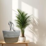 Beige & White Loop Lunch Tote