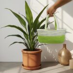 Dual Tone Green Boho Basket