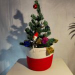 Snow Berry Basket